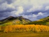 Gothic Valley Autumn