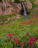 Alpine Waterfall