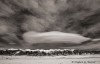 Winter Lenticular