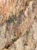Canyon Wall Abstract