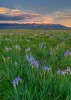  Iris Meadow and Blanca Massif