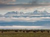  Bison and Crestone Peaks