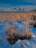 Ruby Valley Winter Morning