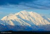 Denali from Wonderlake Campground area