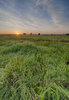 Nature Conservancy,Oklahoma,Osage County,Tall Grass Prairie Preserve,prairie