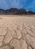 Playa mudcracks 