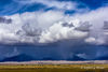 Spring Storm Over Mountains, Sand Dunes and Bison Herd