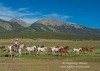 Moving the Horses