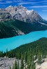 Peyto Lake and Mount Patterson