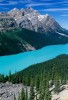 Peyto Lake and Mount Patterson