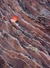 Sandstone and Leaf