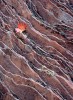 Sandstone and Leaf