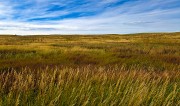 Douglas County Prairie