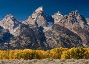 Autumn in the Tetons