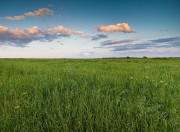 Oklahoma  and Texas Prairies and Grasslands
