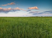 Oklahoma  and Texas Prairies and Grasslands