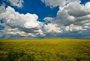 Colorado Prairies and Grasslands