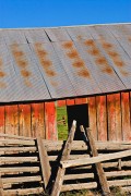 Through the Shed Window