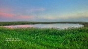 Prairie Pothole Dawn