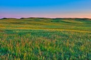 Grasslands Sunrise