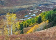 Autumn Meanders