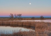 Moon over Rose Pond