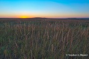 Tall Grass Prairie Sunset