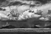 Spring Storm Over Bison and Sand Dunes