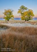 Zapata Ranch Meadow Sunrise