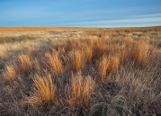 Kansas Winter Prairie