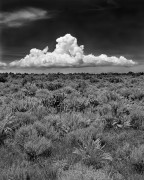 Chico Basin Summer Clouds