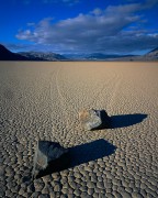 Race Track Playa