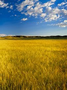 Pawnee Grasslands