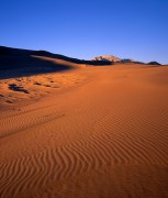 Colorado Dunes