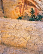 Sandstone and Trees