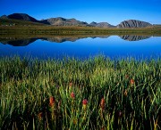 Weminuche Reflection