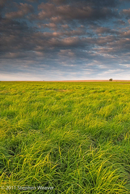 Kansas Prairies and Grasslands Fine Landscape and Nature Photography