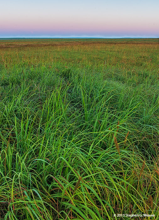 Tall Grass Prairie, grass, prairie, Oklahoma, dawn, earth Shadow