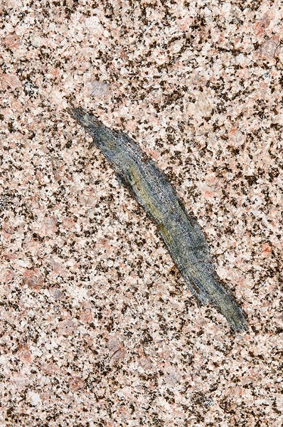 a xenolith of metamorphic rock is enclosed in the Sandia Granite