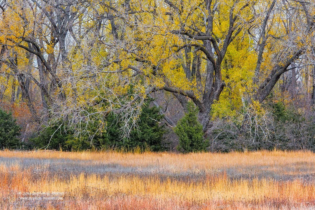 Autumn, Fall Color, Kansas