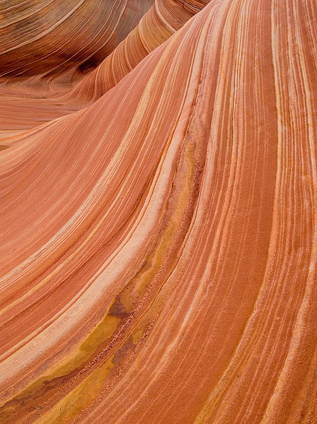 Navajo Sandstone crossbeds at &quot;The Wave&quot;