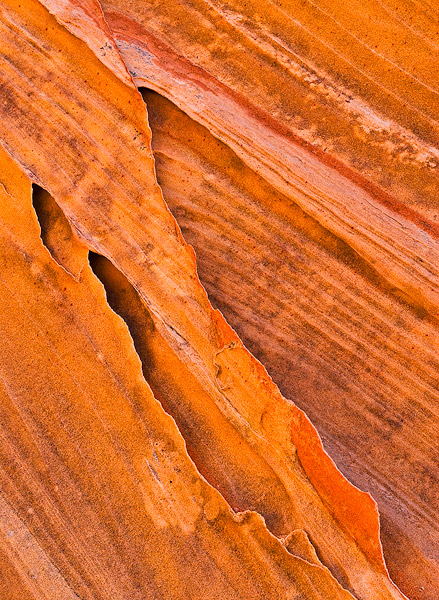 Resistant quartz veins protrude as thin fins in the Navajo Sandstone of the Vermillion Cliffs Wilderness, Arizona