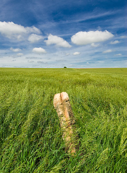 An old unused post rock stands at the edge of a wheat field in central Kansas