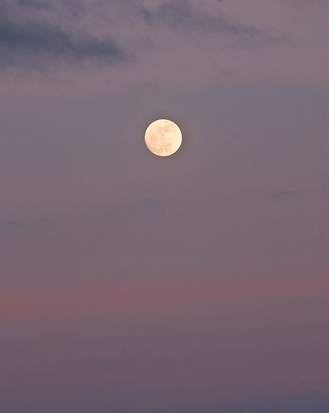 Full moon rise in a sky colored by sunset