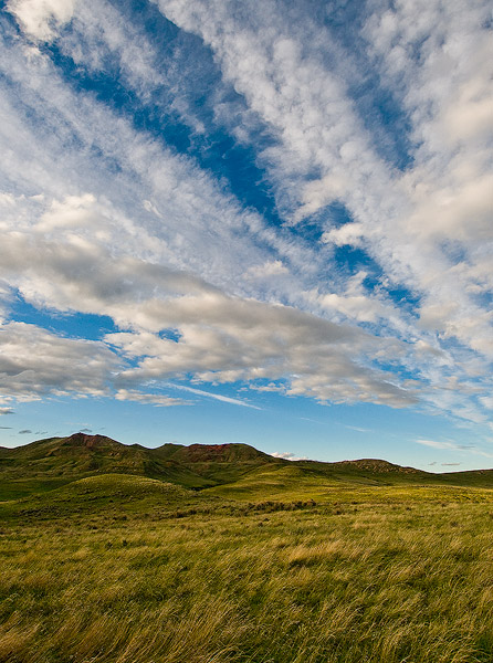 Ucross ranch,ucross,powder river basin,grass