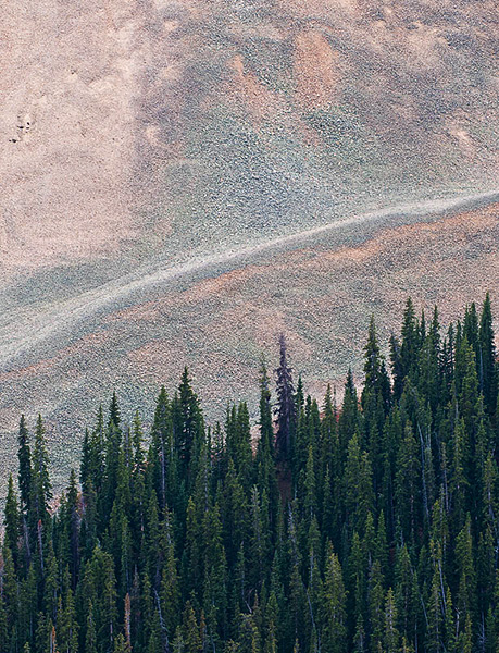 Talus slopes and conifers as seen from Cumberland Pass in the Sawatch Range, Colorado