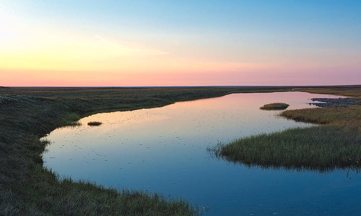 Early morning light reflects in a pond on the Arctic coastal&nbsp; plain in ANWR