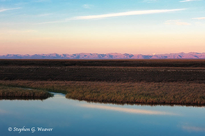 An early morning view of the Brooks Range as seen from the Arctic Coastal Plain in ANWR, Alaska