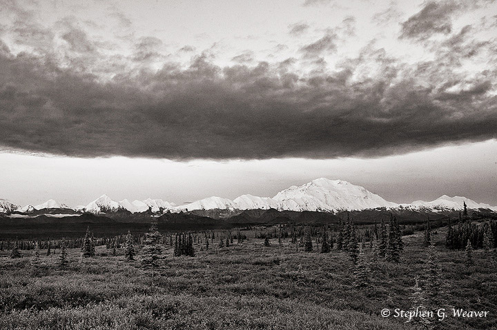 A cloud bank hovers over Denali and the Alaska Range in the early morning hours