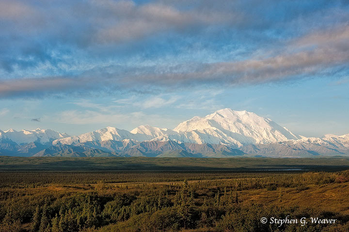 Denali on an early Summer morning as seen from near the Wonderlake Campground